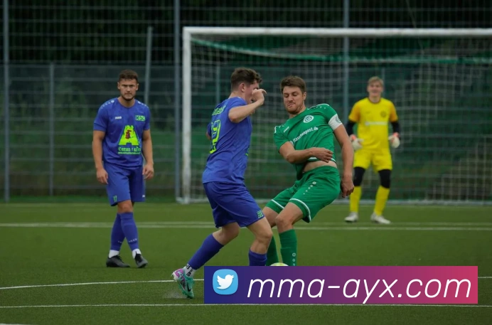 爱游戏服务体系